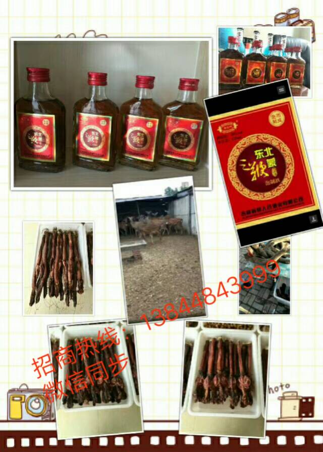 面向全国招商热线：13844843999