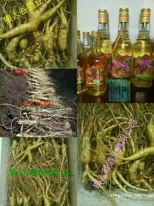 全国招商。。。。。