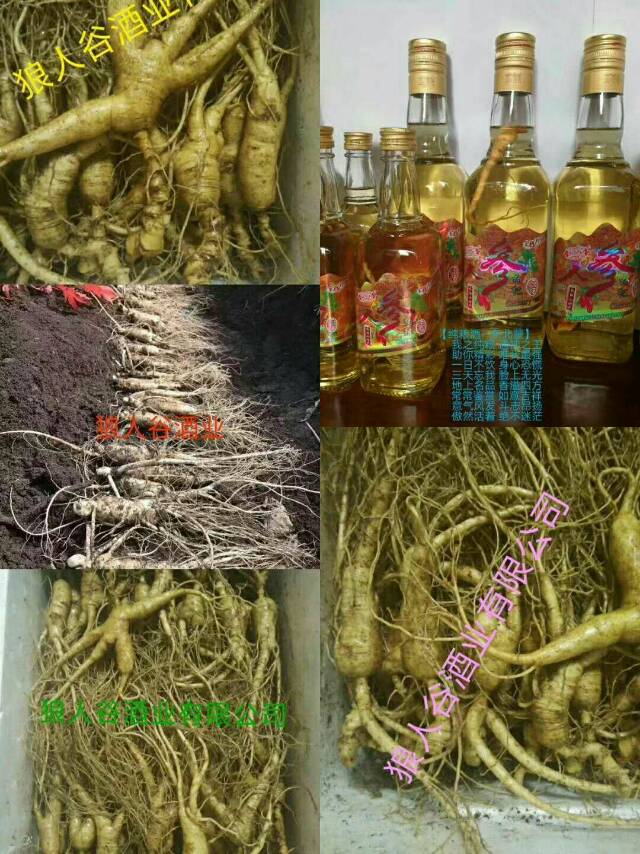 全国招商。。。。。