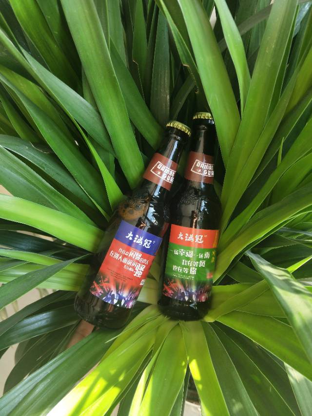 青岛大满冠啤酒全国招商，财富热线18363656668