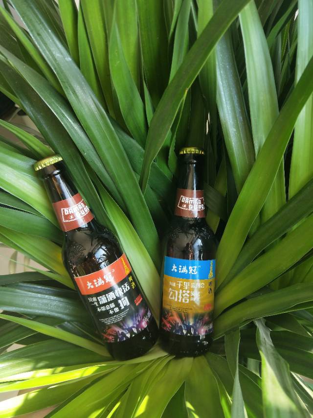 青岛大满冠啤酒全国招商，财富热线18363656668