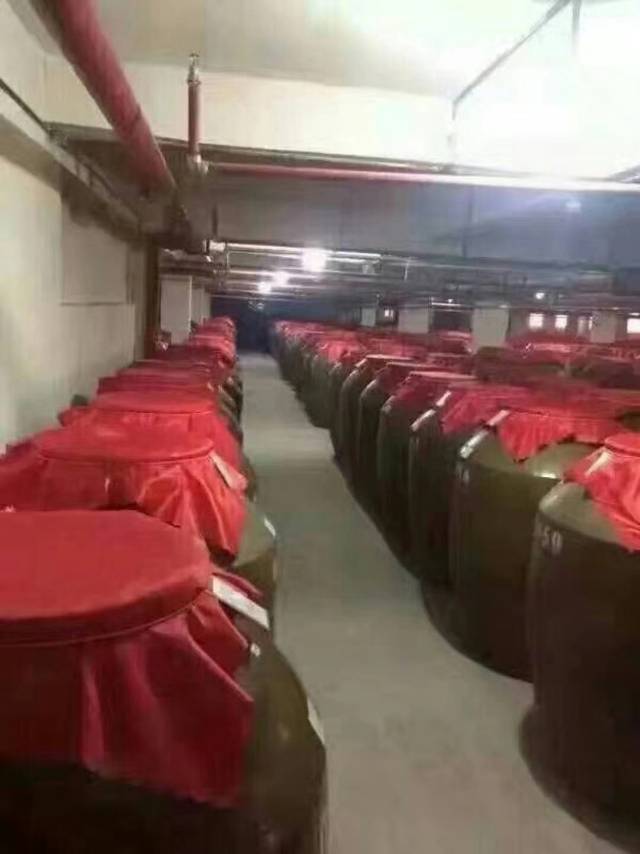 生活不止眼前的苟且，还有诗和傻样！