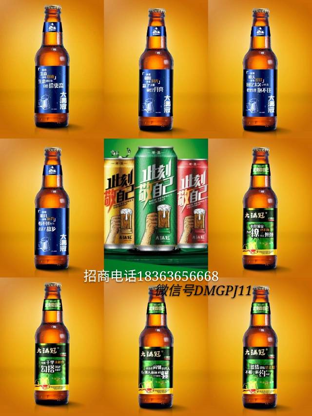 各大系列全国招商18363656668微信DMGPJ11