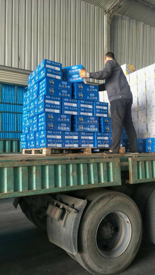 麦潮啤酒 全国招商电话
15947884499