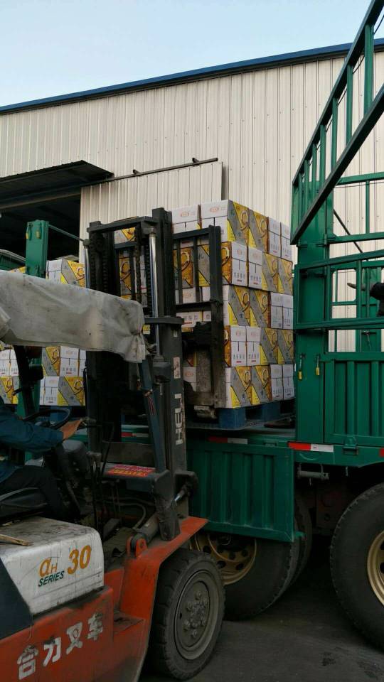 麦潮啤酒 全国招商电话
15947884499