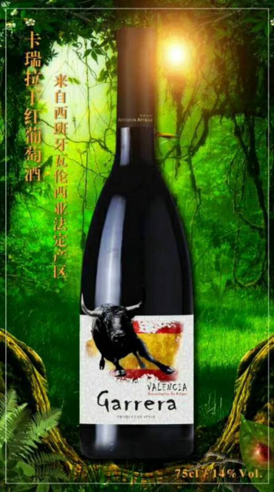 西班牙进口葡萄酒