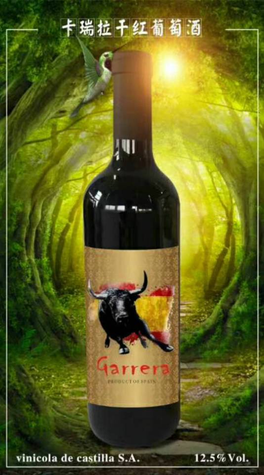 西班牙进口葡萄酒