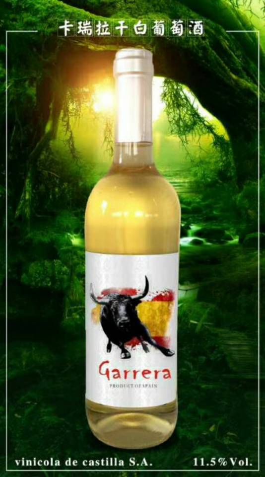 西班牙进口葡萄酒