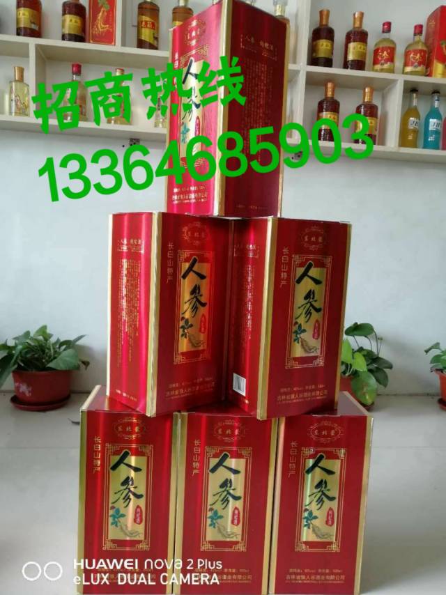 13364685983