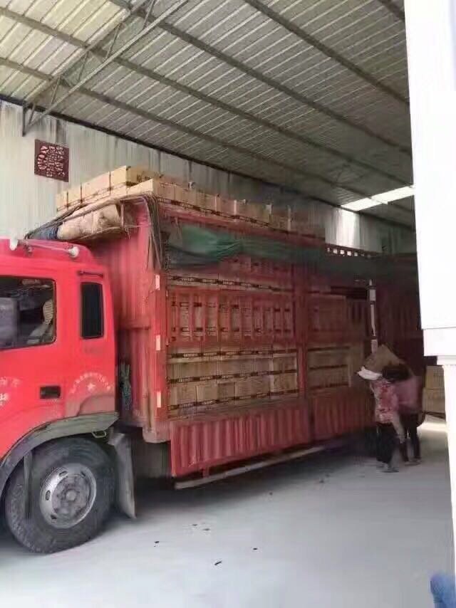 廠家直供