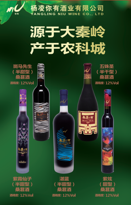 你有猕猴桃酒、桑葚酒～来自大秦岭的佳酿。好喝、时尚、绿色、养生，品种全，性价比高