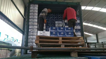 哥么纳已上市，欢迎大家订购