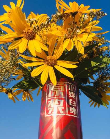 美林小镇啤酒，品味幸福的浓度！