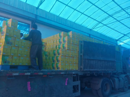 青春360啤酒🍺 15621606966