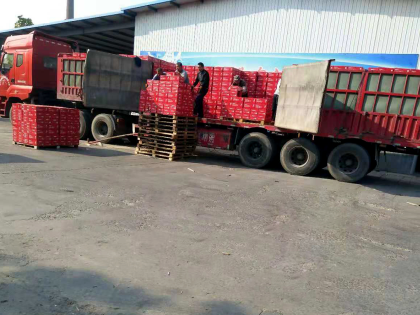 美林小镇啤酒，走起！15318875085