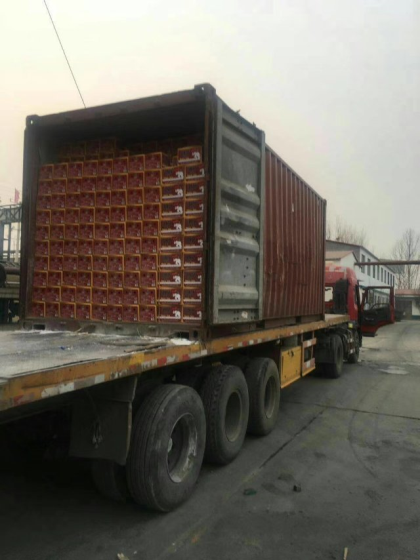 英国苏纽啤酒！真正的好啤酒！15621606966