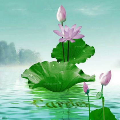 品牌荷花酒 
 热线招商中
 没有门槛
授权  市代理  零风险