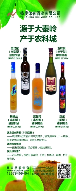 你有獼猴桃酒、桑葚酒～來自大秦嶺的佳釀。好喝、時尚、綠色、養(yǎng)生，品種全，性價比高