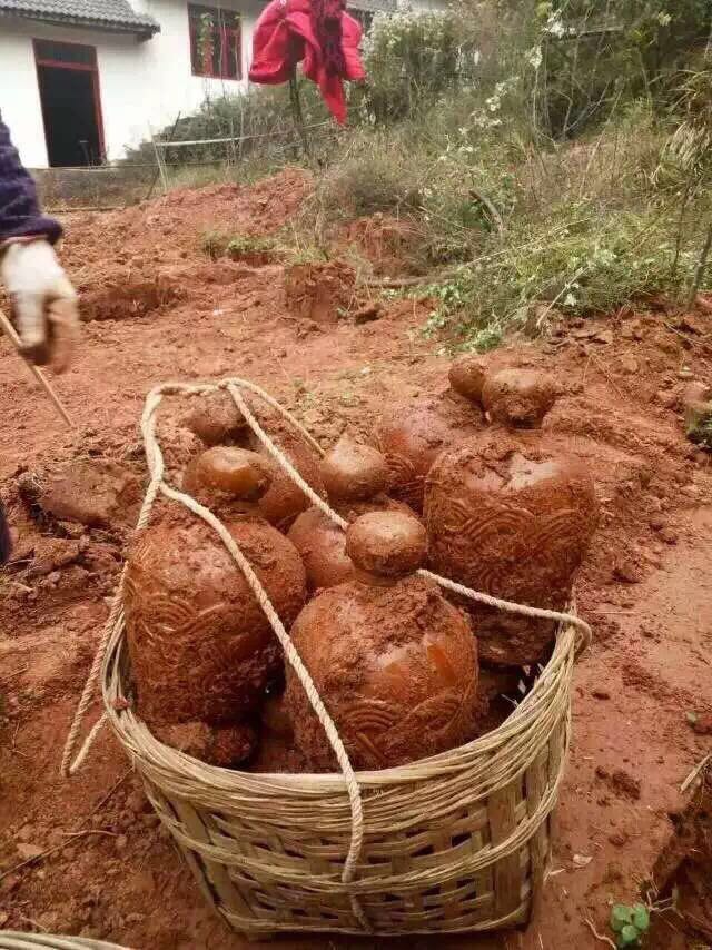 大地魂酒，百分之百纯粮食酒，假一赔一万