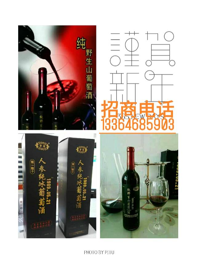 招商电话 13364685903 微信同步