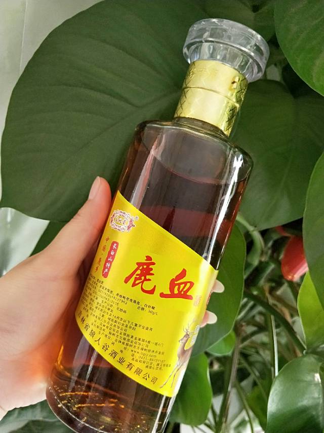 狼人谷酒業(yè)招商部
招商熱線 13364685903 微信同步