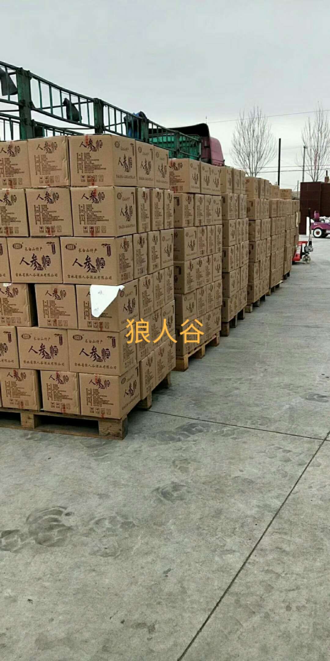 狼人谷酒業(yè)招商部
招商熱線 13364685903 微信同步