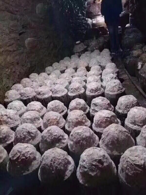 種在土里的酒全面招商