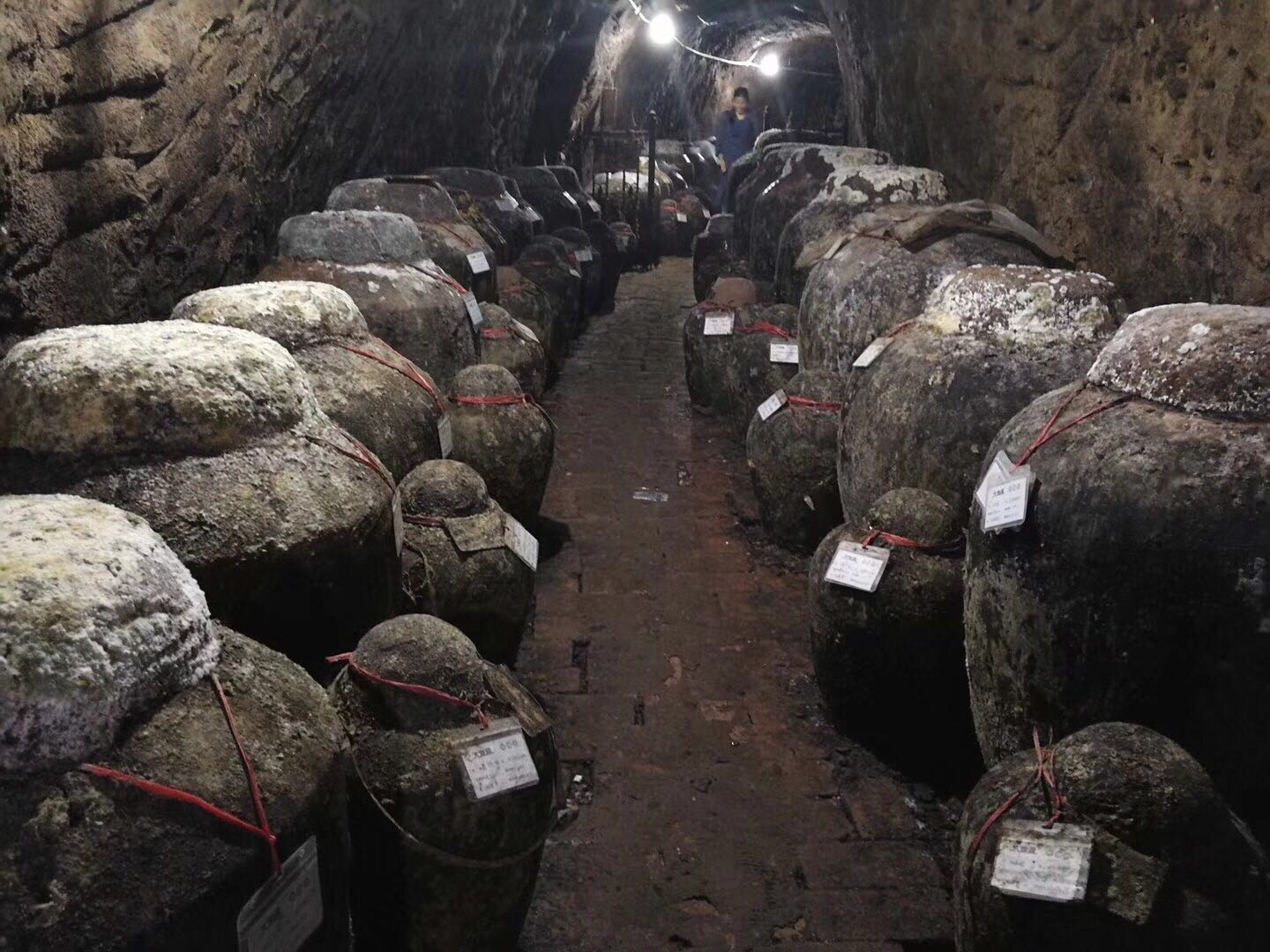 種在土里的酒全面招商