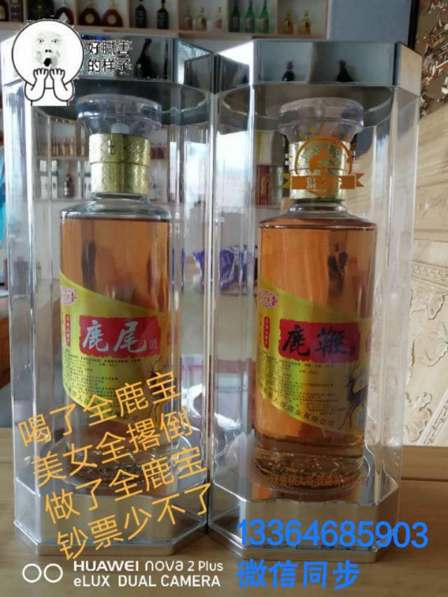 中秋将至 馈赠亲朋，人参酒 鹿宝系列养生酒
全国招商中  13364685903