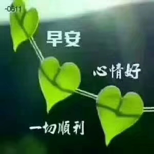 古井集团古井贡酒股份有限公司新品招商18156712369张