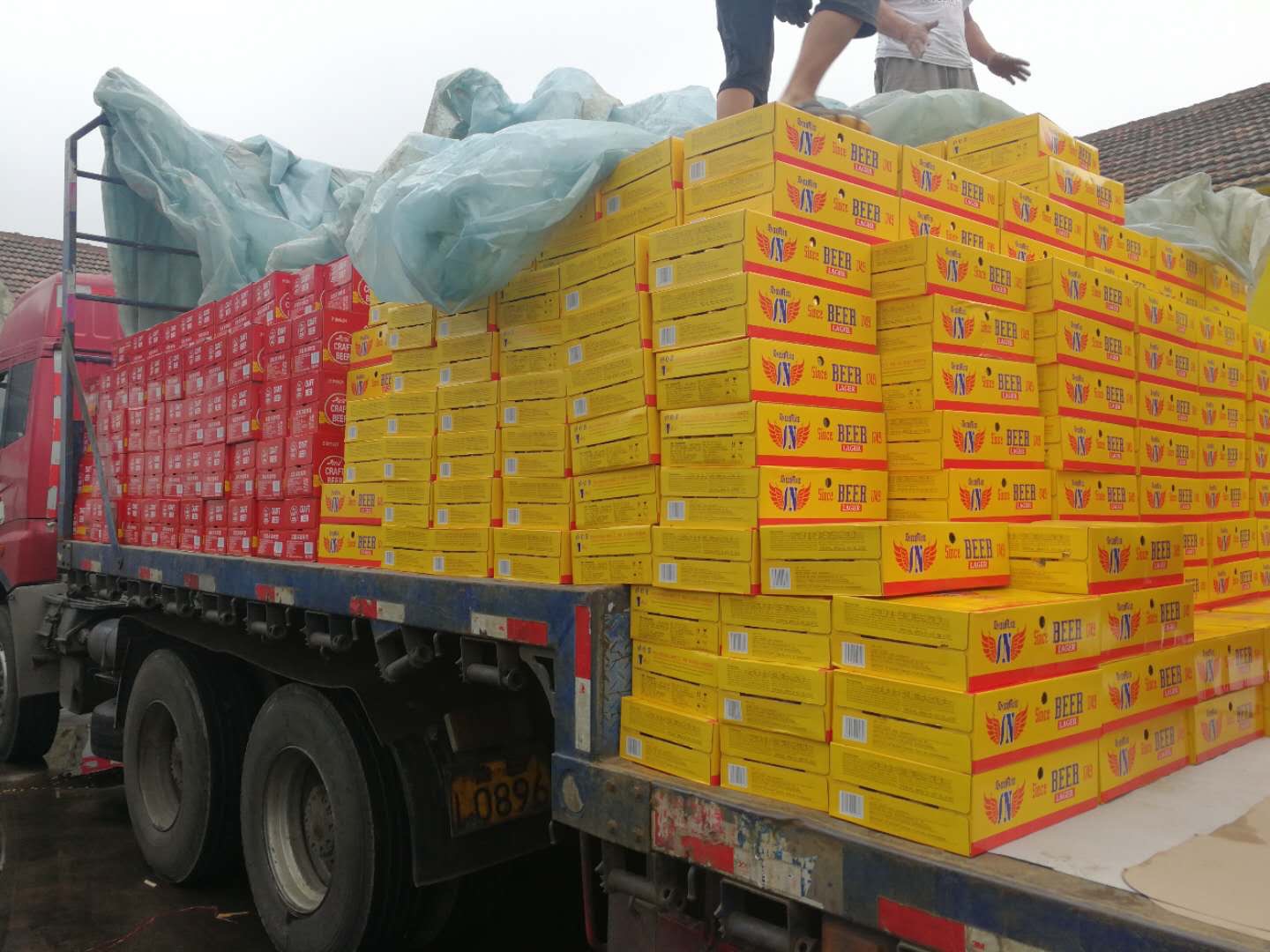 英国苏纽发货中