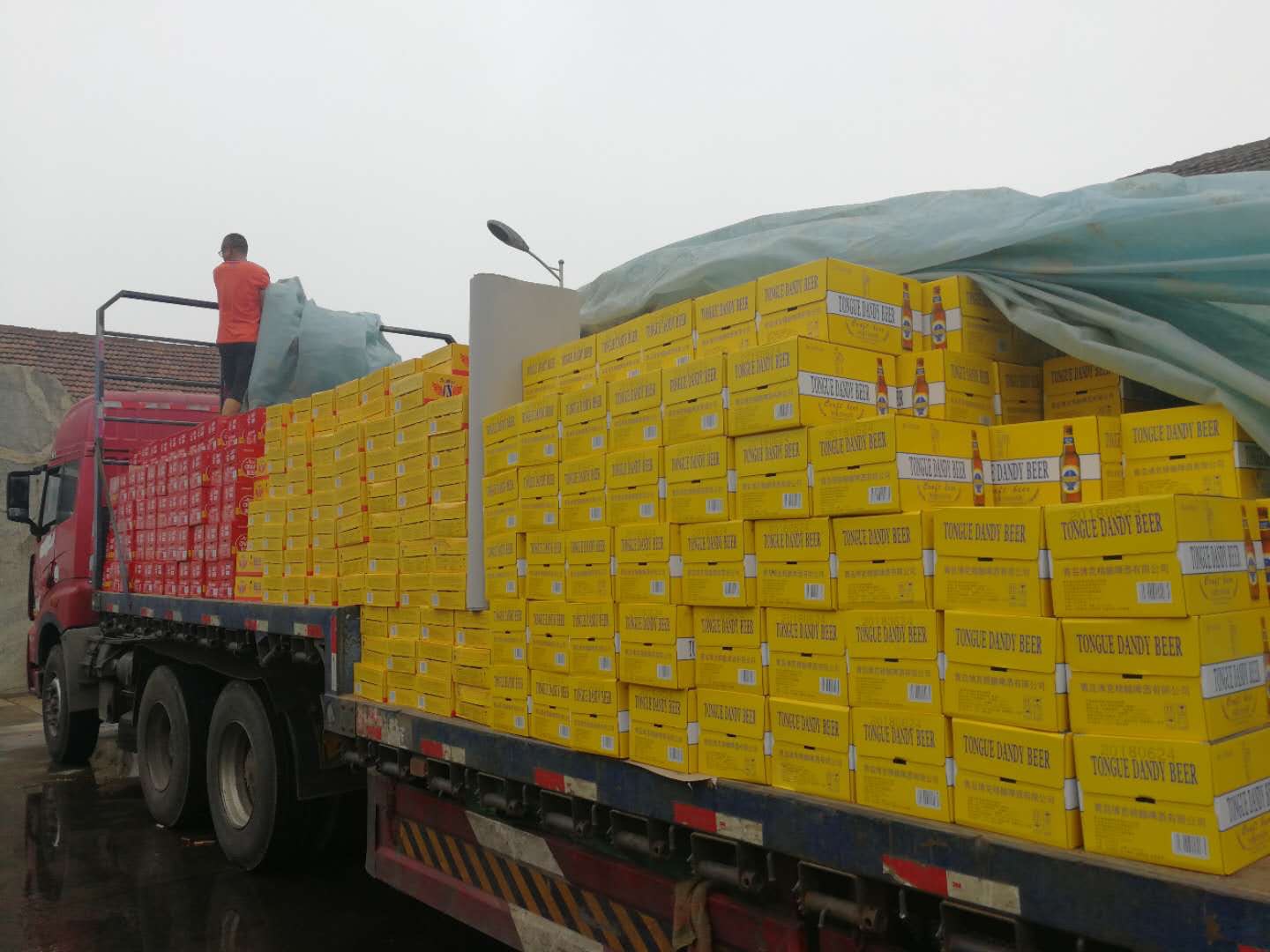 英国苏纽发货中