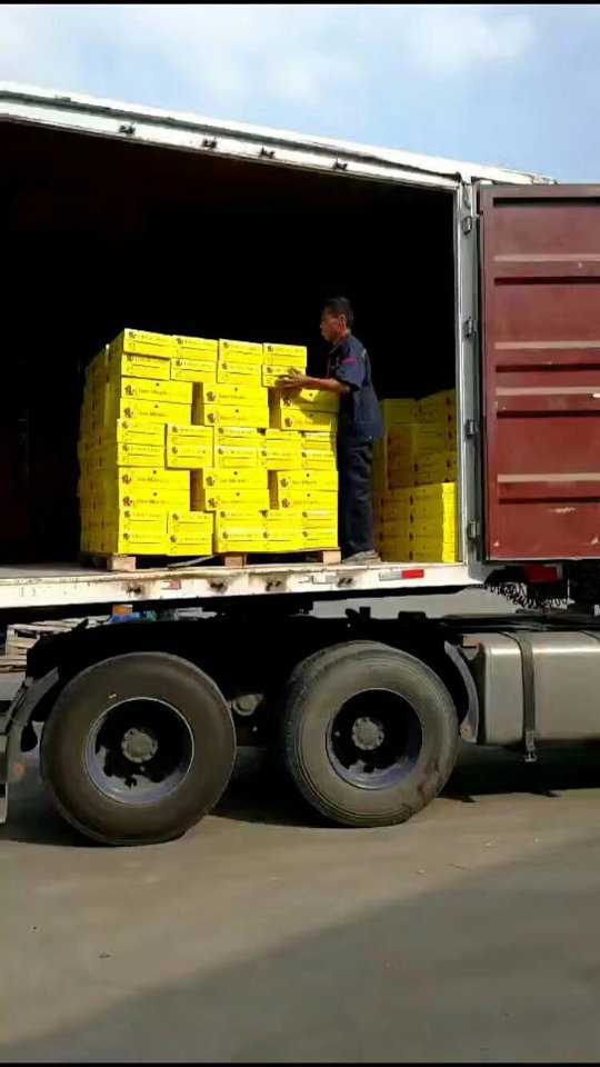 舌郎啤酒，客户又到货了！舌郎啤酒打造世界顶级啤酒? 