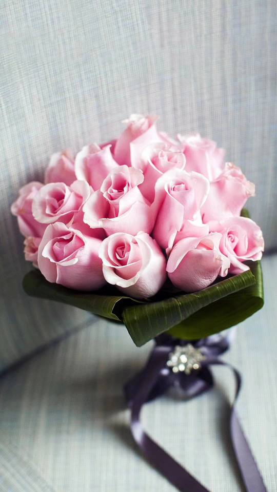 情人节晒晒我的“小情人”? ? ?  