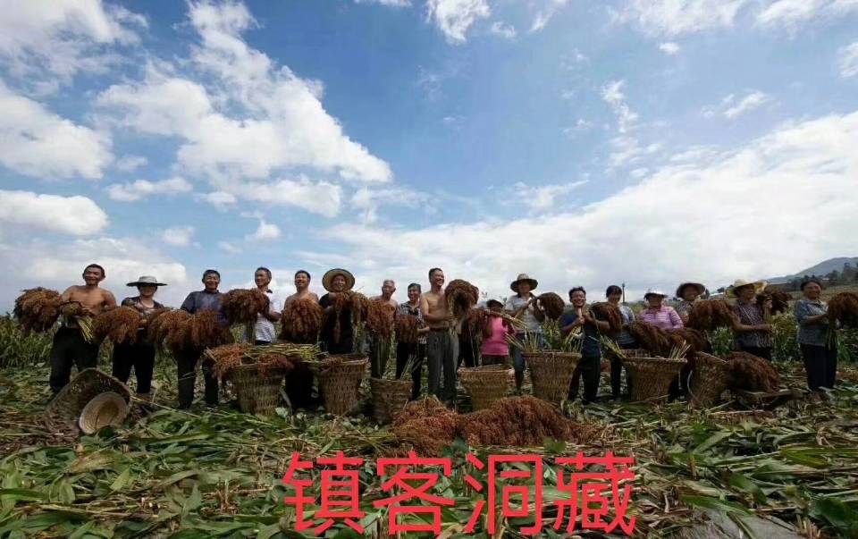 贵州省仁怀市聚强酒业有限公司：专业酱酒销售总监：邹洪刚，现在优惠还有一个星期结束