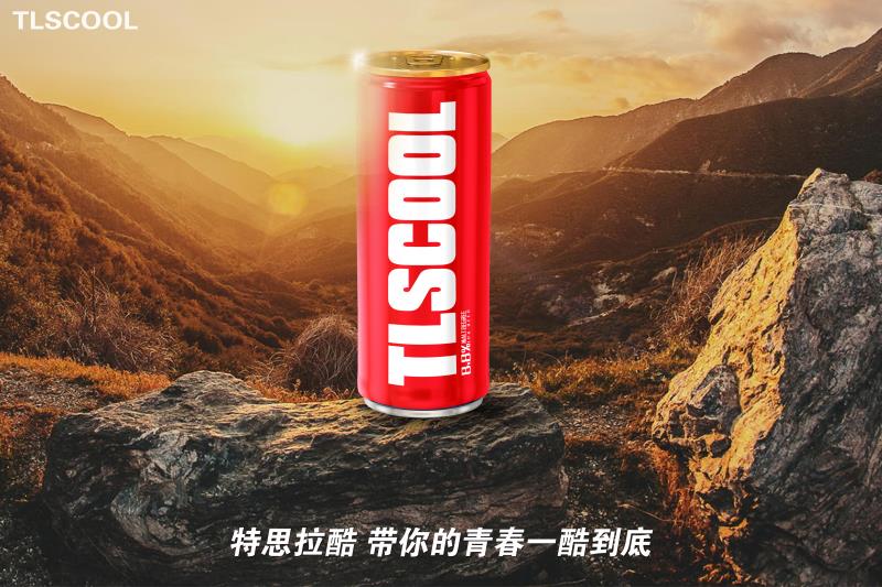 湖州特思拉啤酒有限公司自主产品，全国招商
特思拉酷全麦精酿啤酒，全新口感，全新包