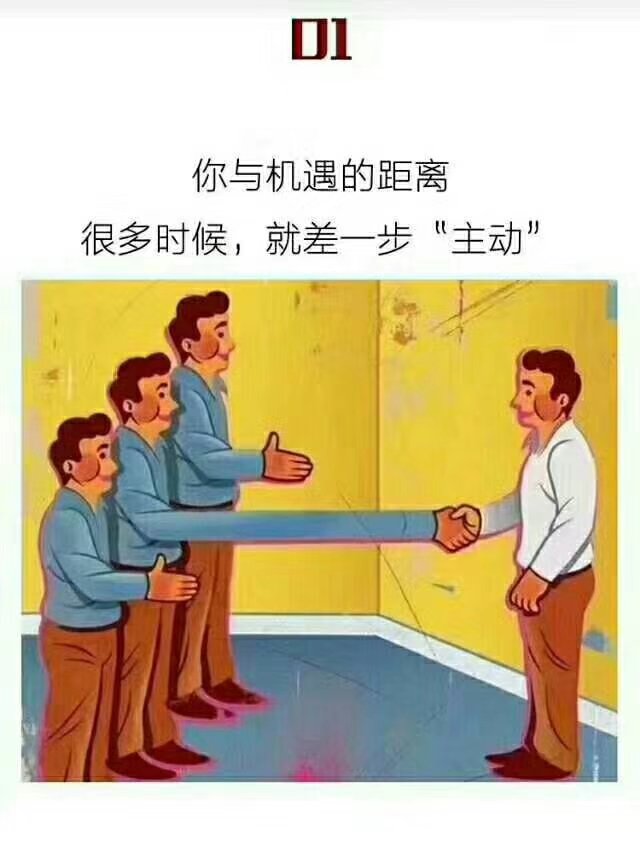 古井集团古井988新品招商18156712369张