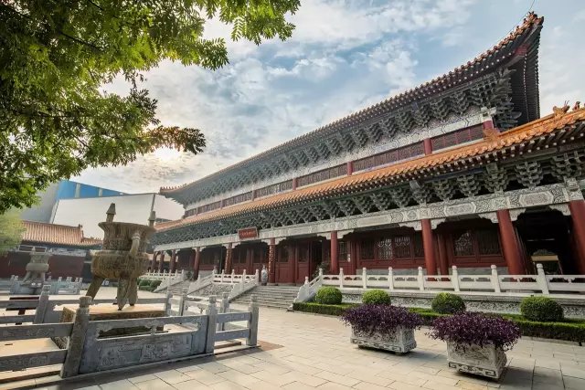 古井集团古井988新品招商18156712369张