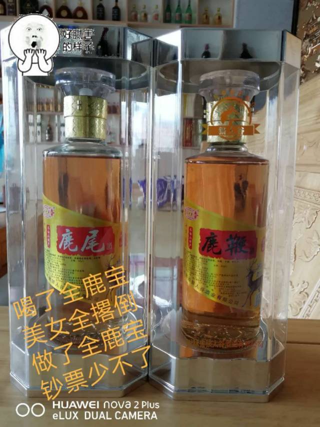 全鹿宝系列养生酒全国招商中
13364685903
15947884499