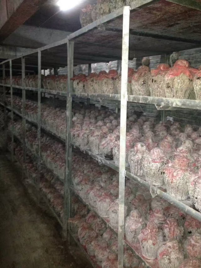 窖藏老酒，纯粮酿造，各种礼品酒招商