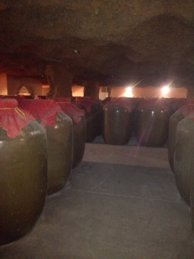 窖藏老酒，纯粮酿造，各种礼品酒招商