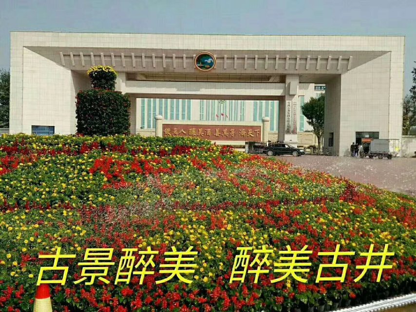 古井集團(tuán)古井988新品上市誠(chéng)招合作的伙伴，財(cái)富熱線：18156712369張經(jīng)理