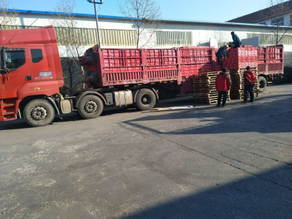 美林小镇啤酒，走起！15318875085