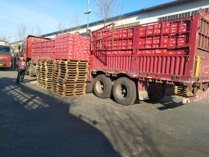 美林小镇啤酒，走起！15318875085