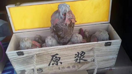 誠招代理