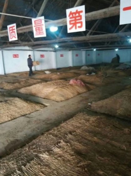 酒體微黃，自然老熟，入口綿柔，不辣喉，醒酒快，五糧原漿酒誠招代理