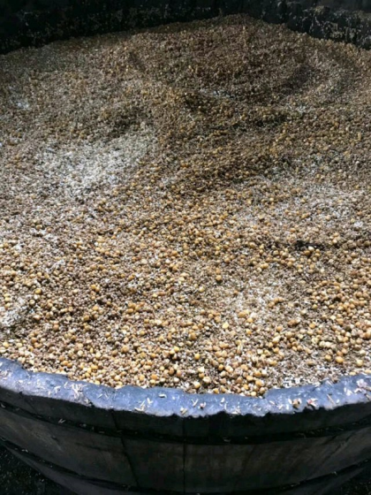 酒體微黃，自然老熟，入口綿柔，不辣喉，醒酒快，五糧原漿酒誠招代理