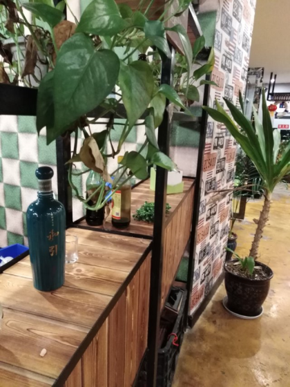 輕柔醬香輕柔香，和引芳華和引華。

新生時代新生酒，未來趨勢未來夢。