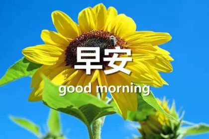 2013年—2018年55度古井贡酒绝版老酒，升值空间大，极具收藏价值，厂家已经