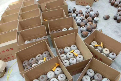 定制，贴牌，品牌开发，方先生18786172826